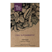 Chili Aji Charapita (Capsicum chinense) Samen